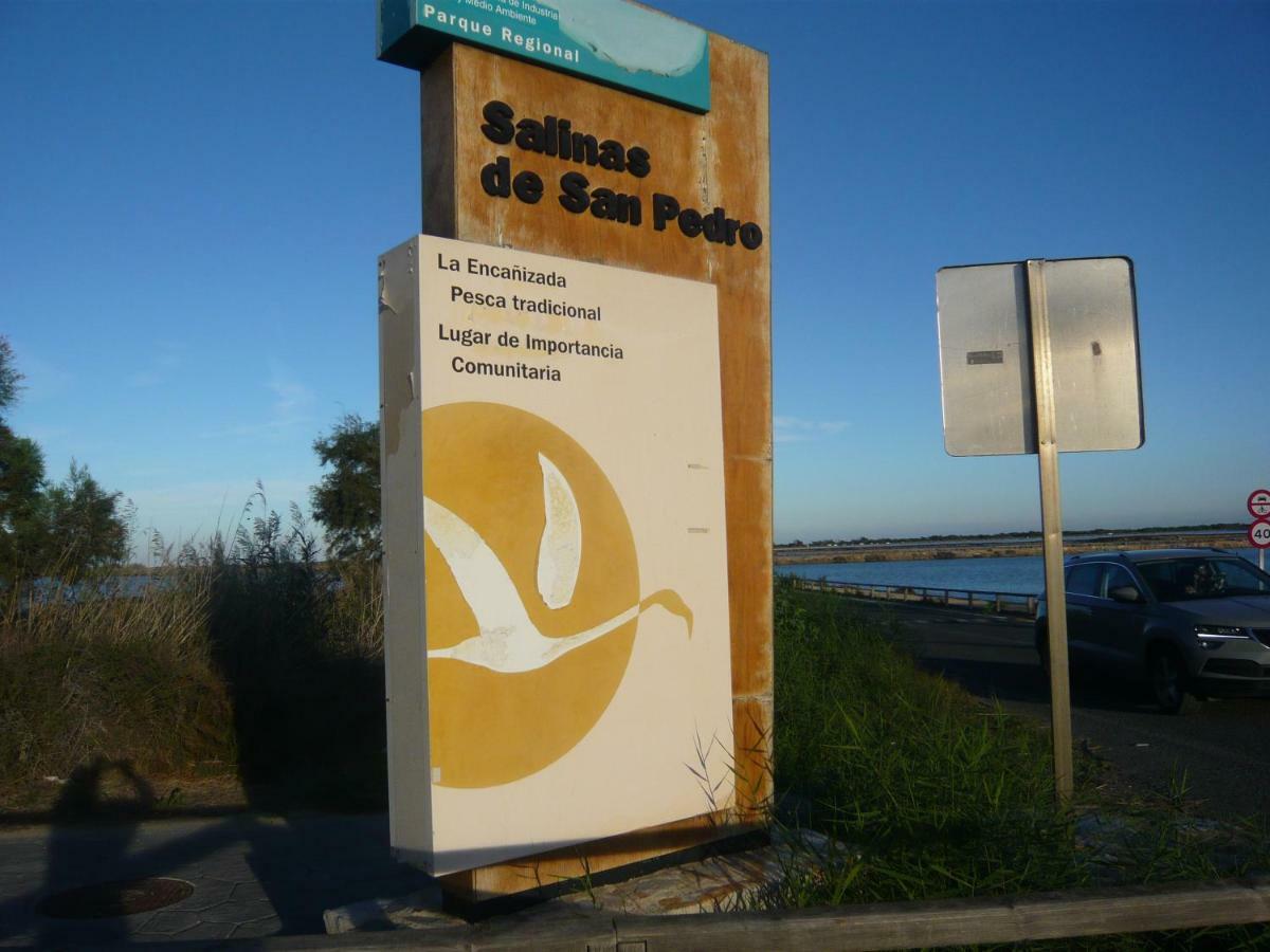 Chalet I Con Terraza En La Playa San Pedro del Pinatar Zewnętrze zdjęcie